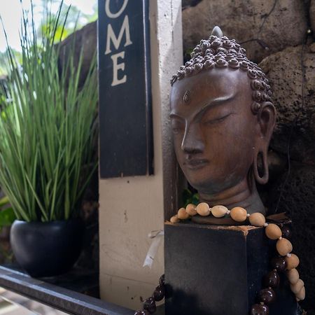 Unit 18 Maui Ohana Modern Studio Wailuku Zewnętrze zdjęcie