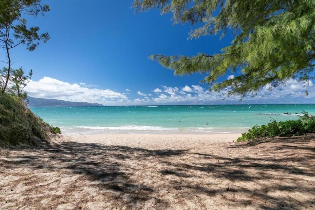 Unit 18 Maui Ohana Modern Studio Wailuku Zewnętrze zdjęcie