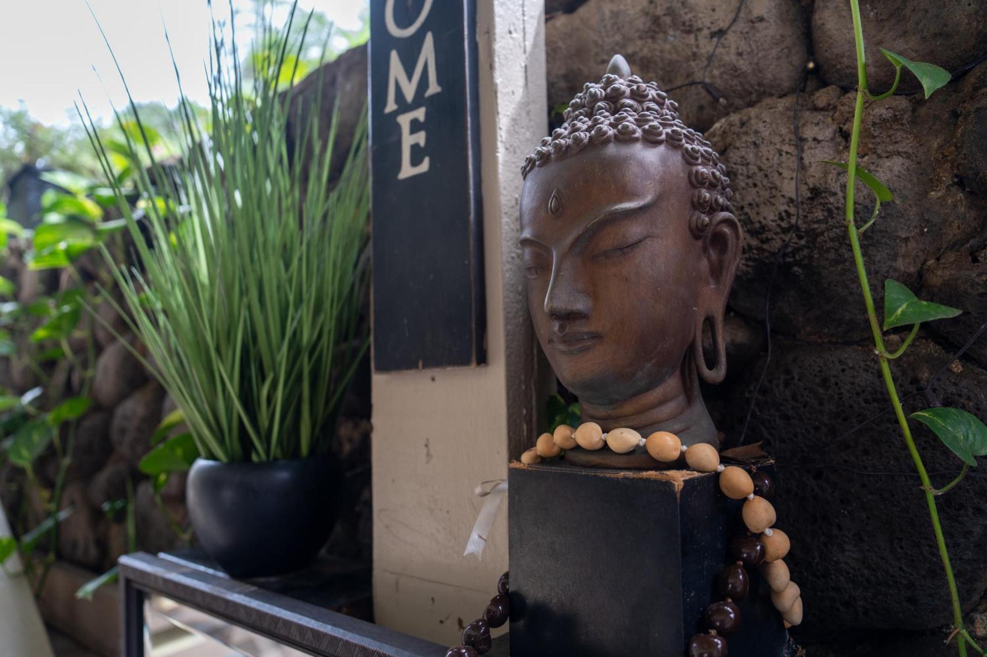 Unit 18 Maui Ohana Modern Studio Wailuku Zewnętrze zdjęcie